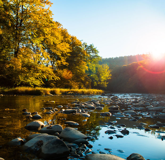 unprecedented sustainability